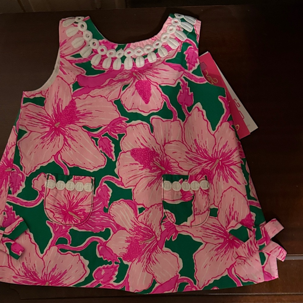 Lilly Pulitzer Pink and Green Floral Dress